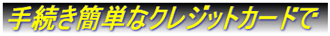 �葱���ȒP�ȃN���W�b�g�J�[�h��